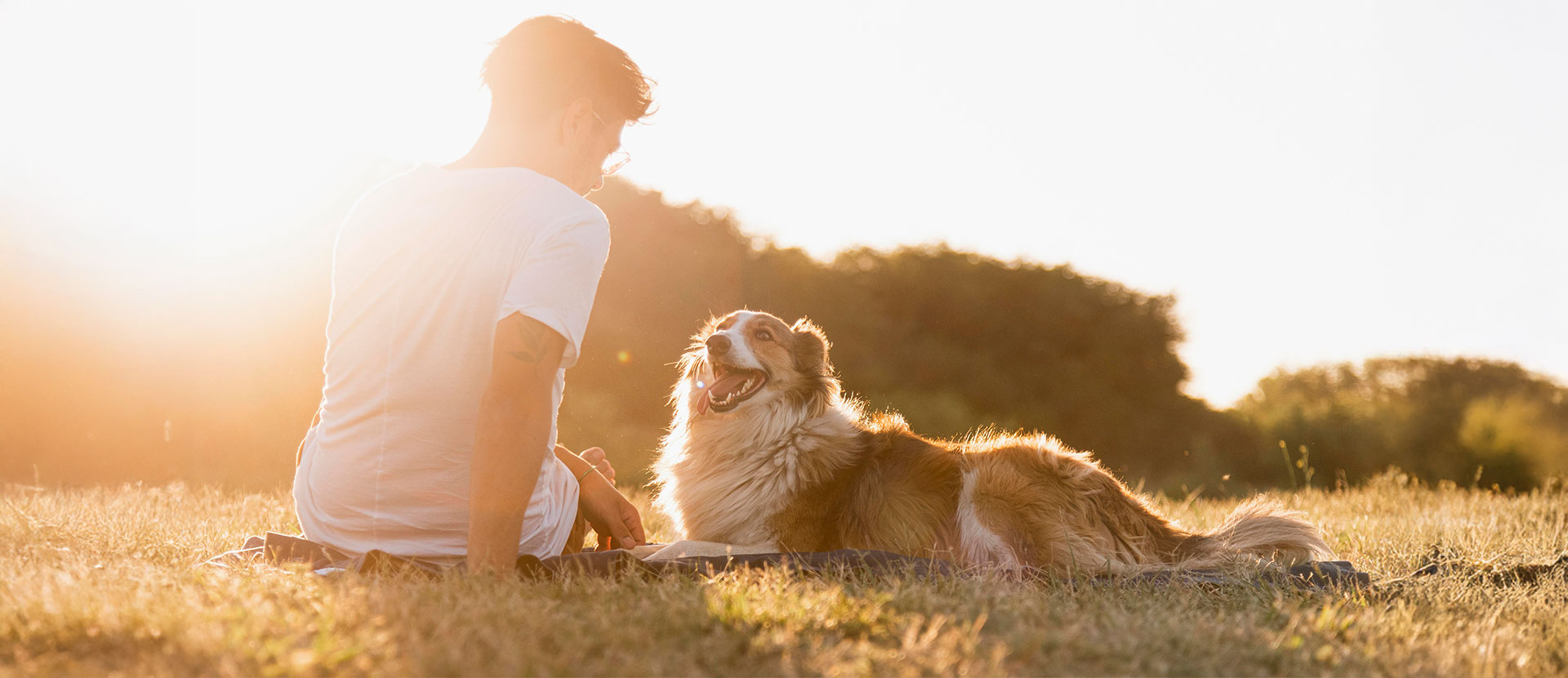 como practicar mindfulness con tu perro