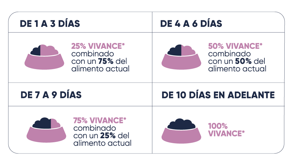 Correcta transición del alimento