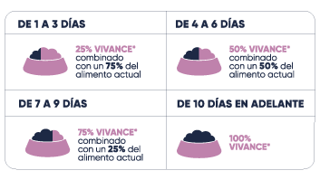 Correcta transición del alimento